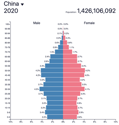 Population pyramid, China 2020 — AP Human Geography